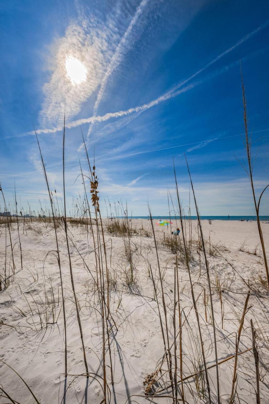 Fins Up In Clearwater Beach Luaran gambar